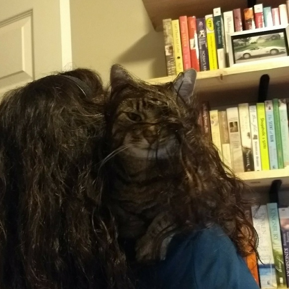 Meet your Posher, Ronda - Picture 2 of 8